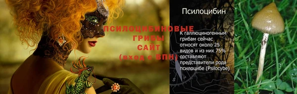 крисы Аркадак