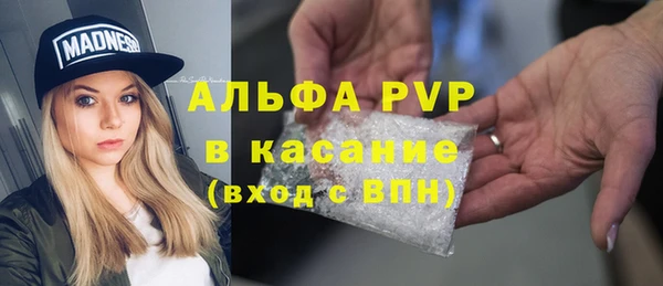 крисы Аркадак