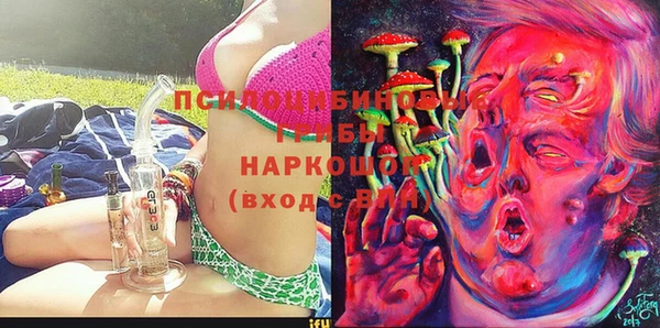 mdpv Арсеньев