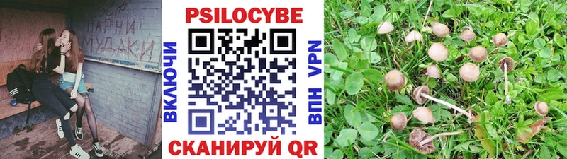 Галлюциногенные грибы Magic Shrooms  mega рабочий сайт  Белая Калитва 